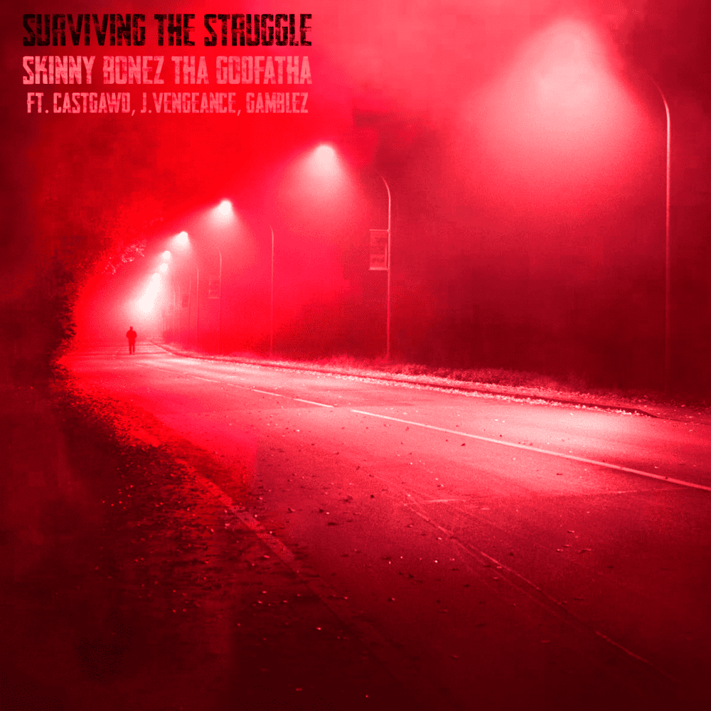 Surviving The Struggle cover